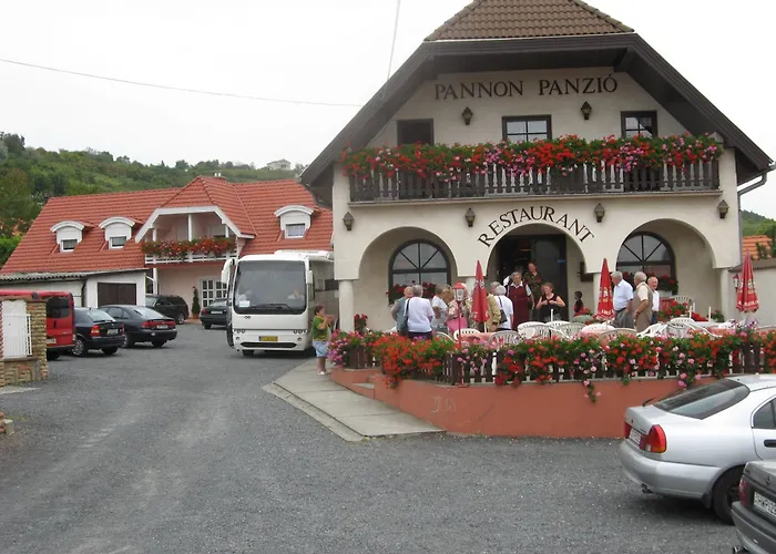 Гостевой дом Pannon Panzio Restaurant 4*