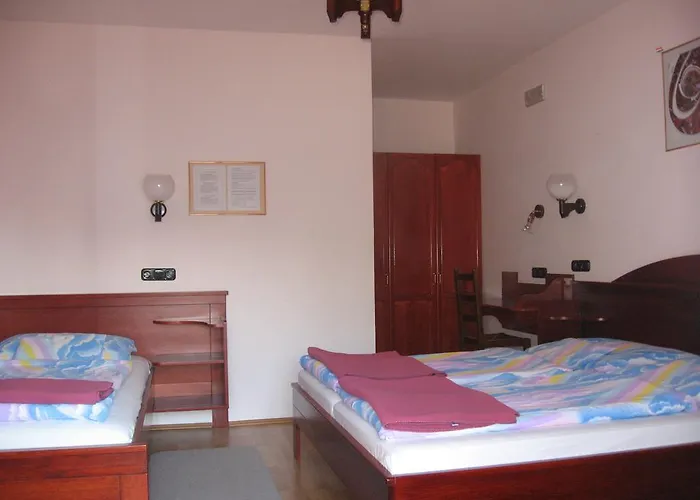Pannon Panzio Restaurant 4*